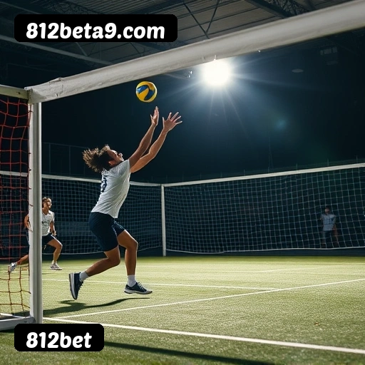 Suporte 24 horas 812bet